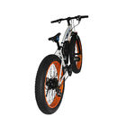 Fat Tire Snow 2 Wheel Electric Bike 500w Foldable 4-6h Charging Time With CE Certification